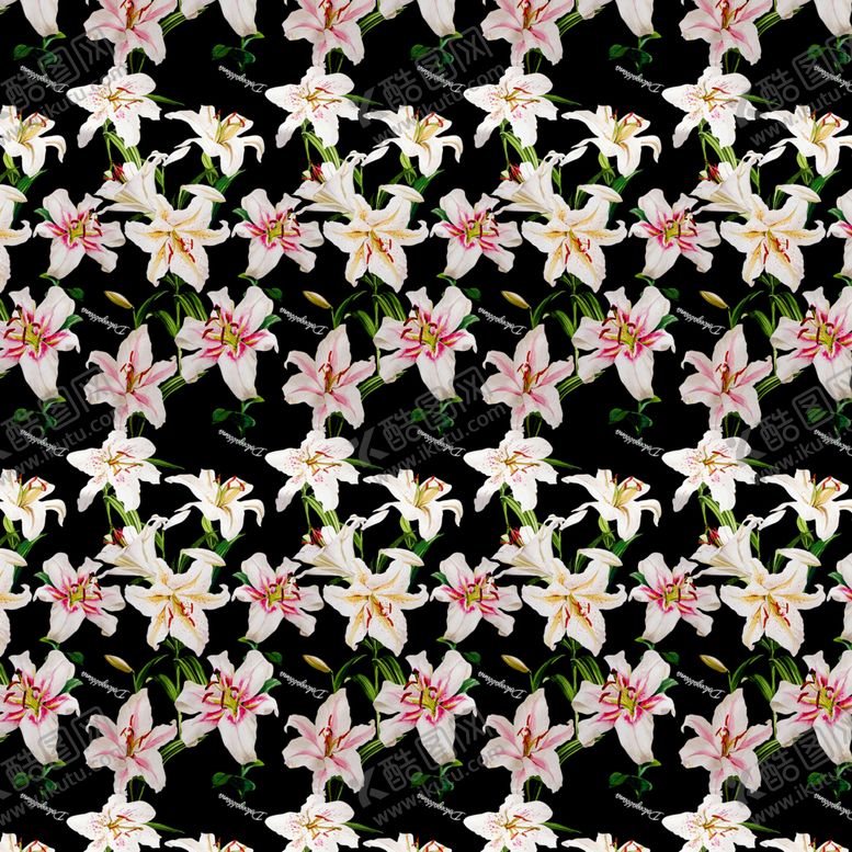 编号：59124109300553332035【酷图网】源文件下载-数码印花