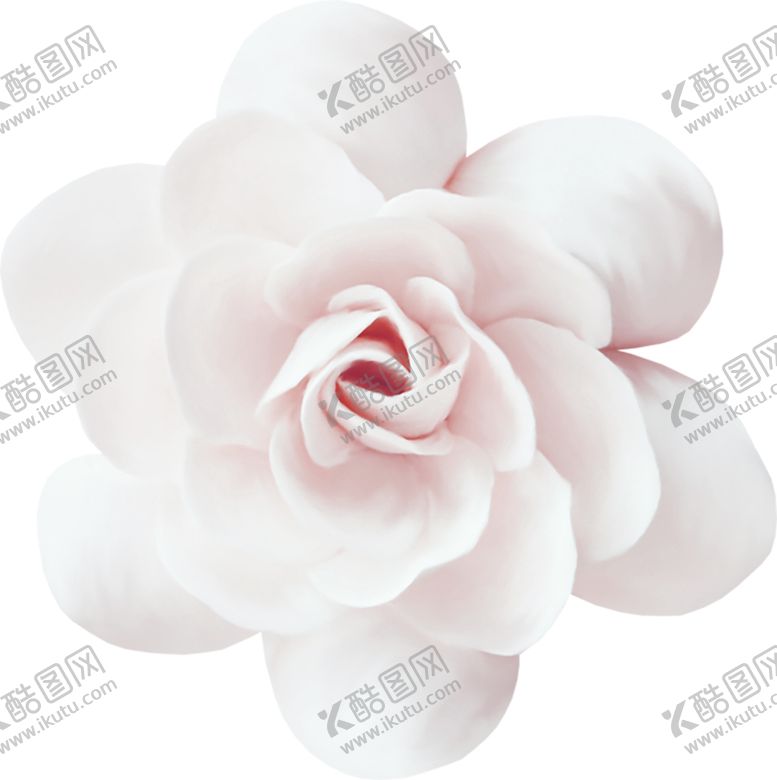 编号：58832905040721188756【酷图网】源文件下载-鲜花素材