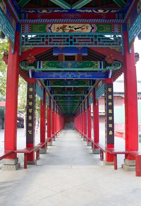 绿色长廊
