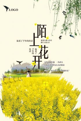 油菜花