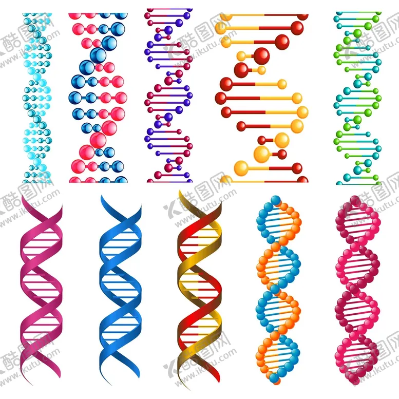 编号：73148609180936145328【酷图网】源文件下载-DNA分子
