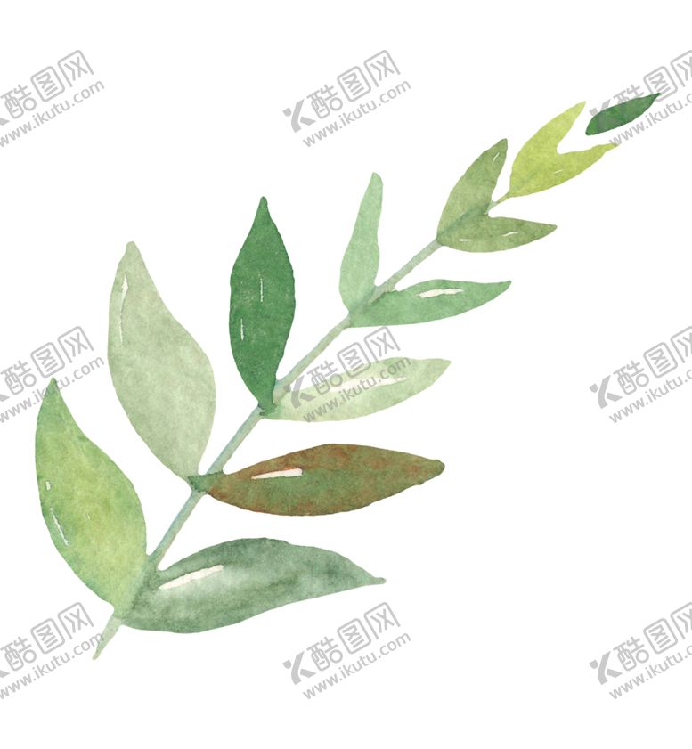 编号：22023109221535555805【酷图网】源文件下载-水彩植物花朵图案