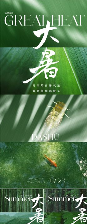大暑节气海报二十四蝉叶子
