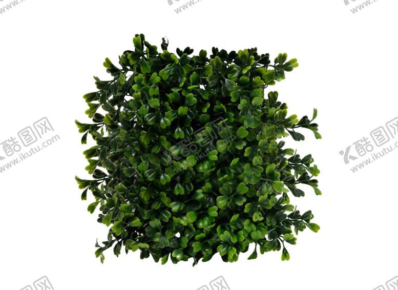 编号：36720007051029424532【酷图网】源文件下载-小清新植物