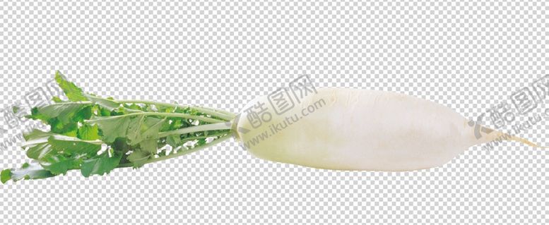 编号：16147605100929168194【酷图网】源文件下载-萝卜