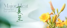 夏至节气海报