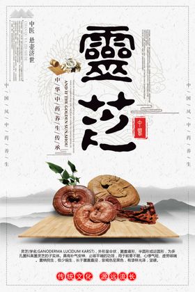 中国风中医药品文化展板