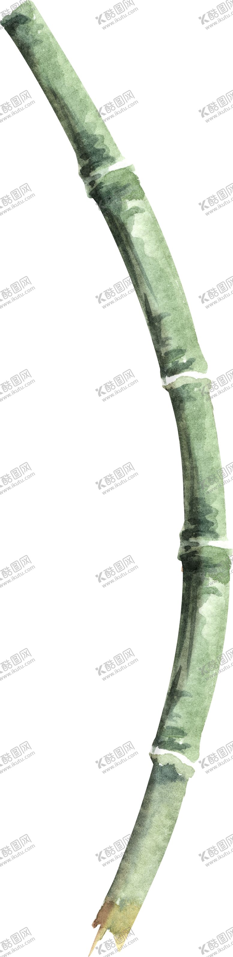 编号：36209409121008086238【酷图网】源文件下载-手绘竹子png免扣素材