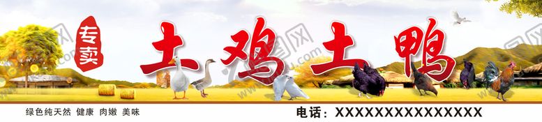 编号：53112410161216263271【酷图网】源文件下载-土鸡土鸭 鸡鸭