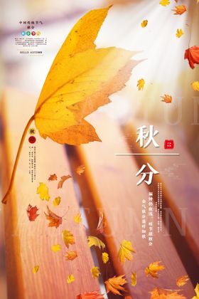 秋分立立主题海报24节气海报传统节