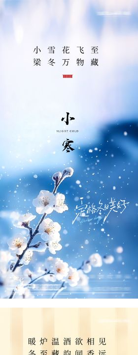 地产冬至小寒清新海报