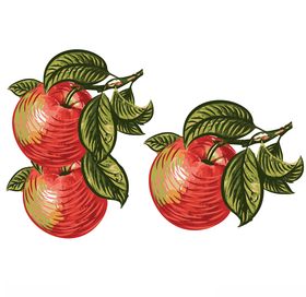 苹果插画