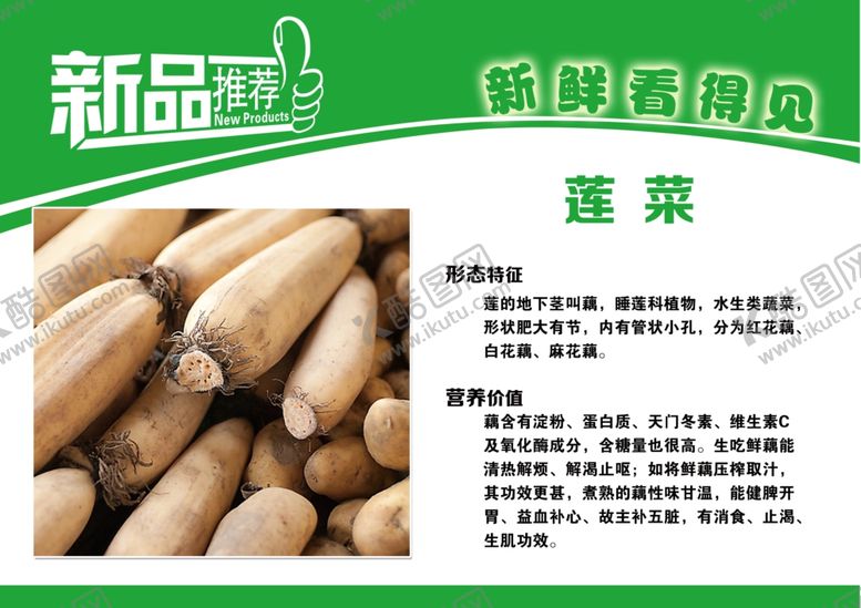 编号：88432709230514503751【酷图网】源文件下载-莲菜简介