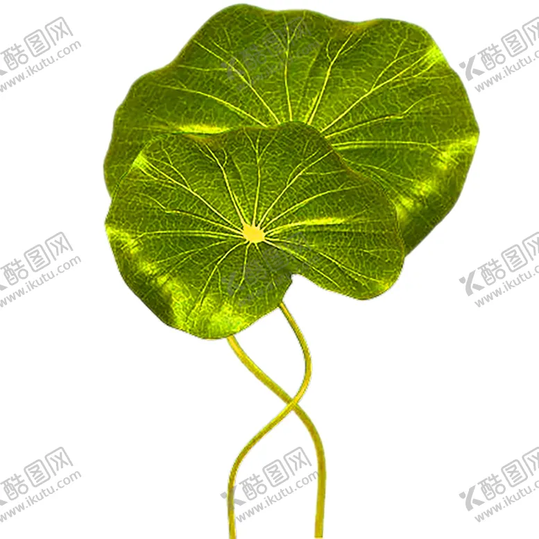编号：32255406270016236620【酷图网】源文件下载-花素材