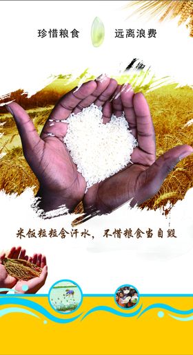 节约粮食