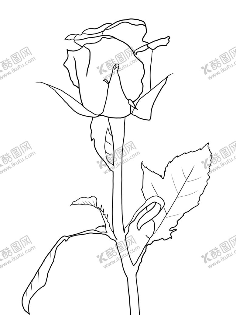 编号：85066709240844029349【酷图网】源文件下载-玫瑰花