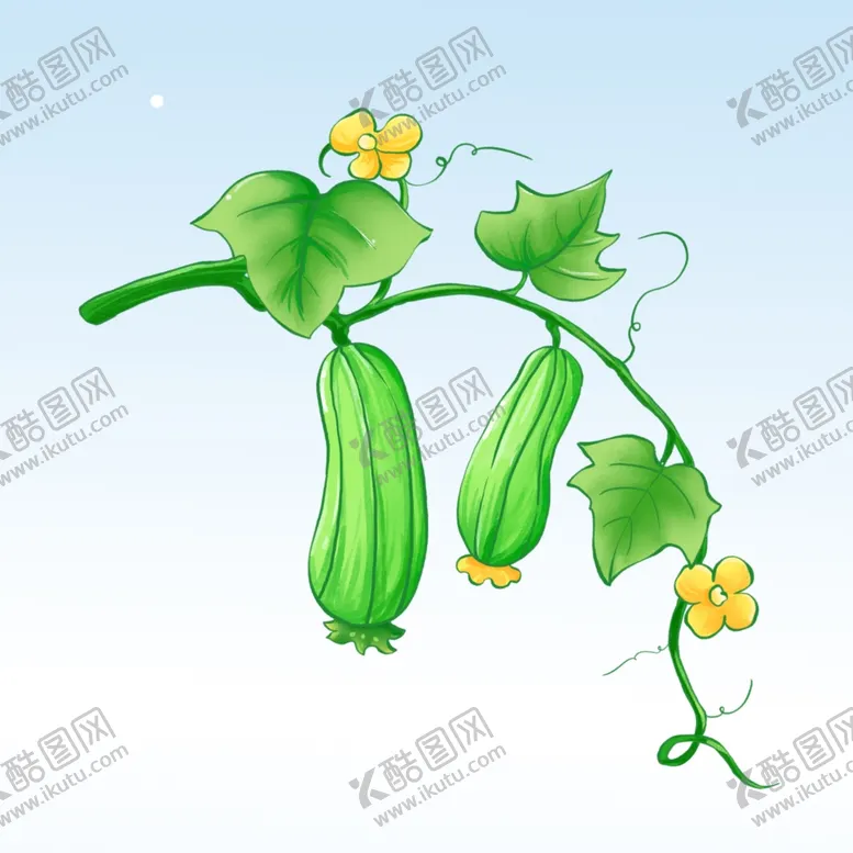 编号：59181902171150568329【酷图网】源文件下载-丝瓜