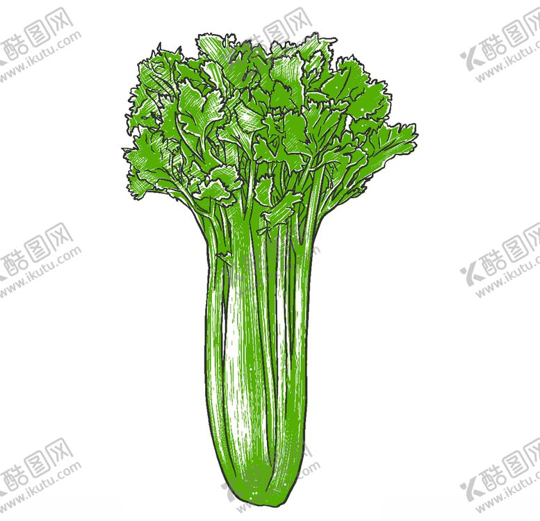 编号：12182509300816396335【酷图网】源文件下载-手绘蔬菜插画