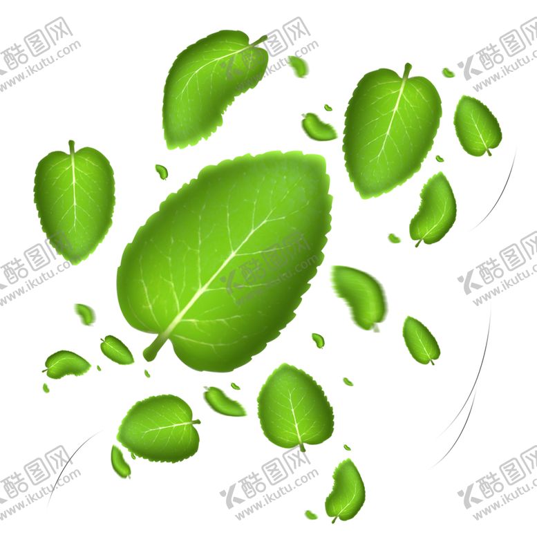 编号：51738206232019398008【酷图网】源文件下载-薄荷植物元素