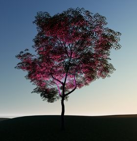 灯光树夜景树素材灯光树素材