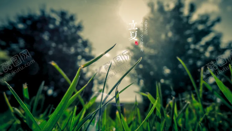 编号：25180410090800027036【酷图网】源文件下载-绿草树木