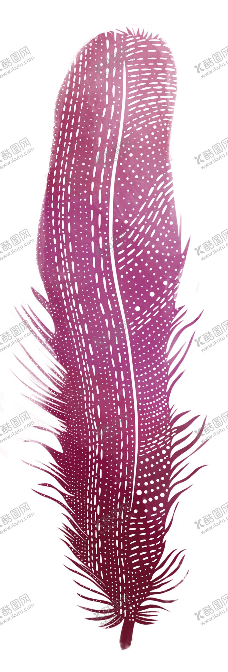 编号：47176202071318031823【酷图网】源文件下载-羽毛 素材