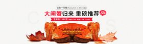 大闸蟹banner