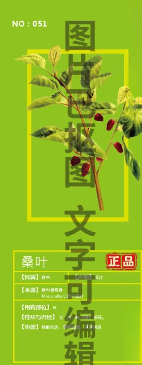 桑叶