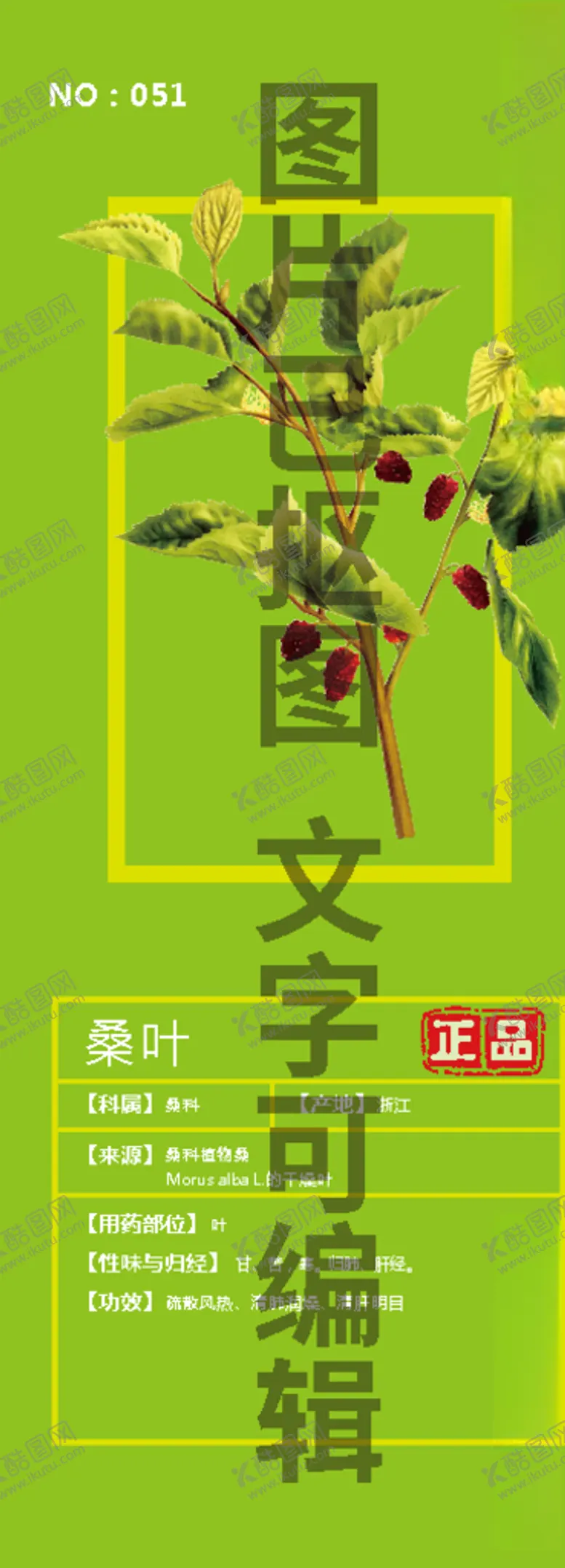 编号：63382005021629112550【酷图网】源文件下载-桑叶