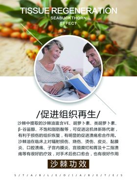 沙棘