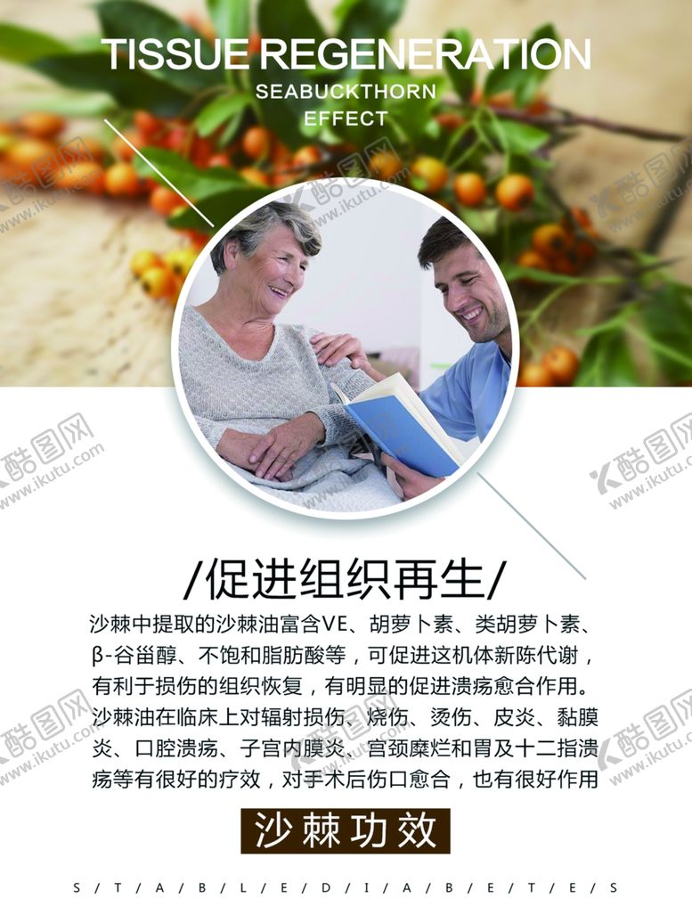 编号：76701507010241378333【酷图网】源文件下载-沙棘