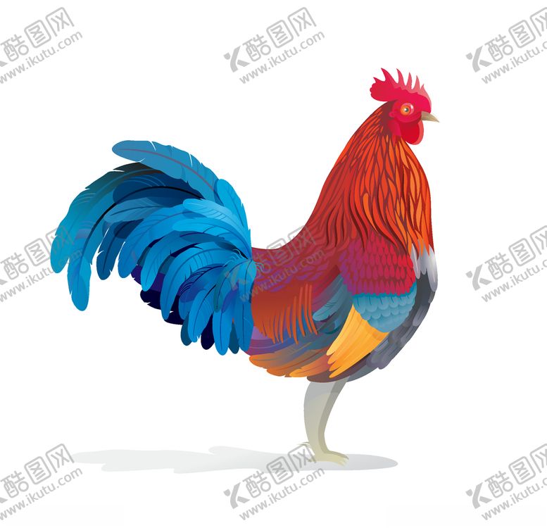 编号：27454405011803287530【酷图网】源文件下载-公鸡