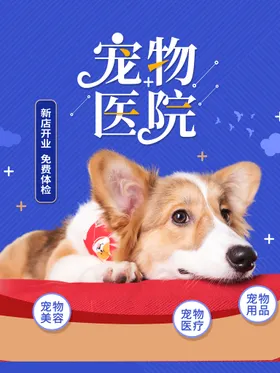宠物海报宣传单淘宝店店铺猫