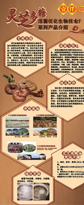 x展架治疗仪展架按摩仪