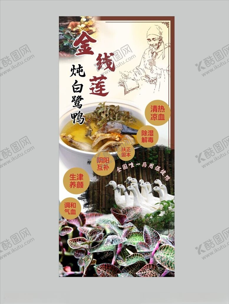编号：81104902211424116980【酷图网】源文件下载-金线莲老鸭汤展架