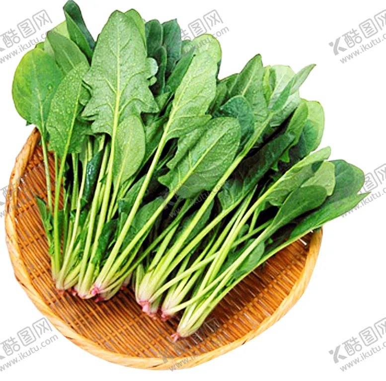 编号：43988404171538156139【酷图网】源文件下载-新鲜菠菜