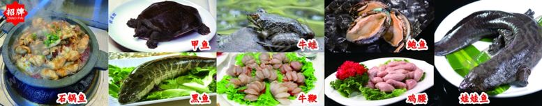 编号：94209702051741203984【酷图网】源文件下载-石锅鱼甲鱼黑鱼广告