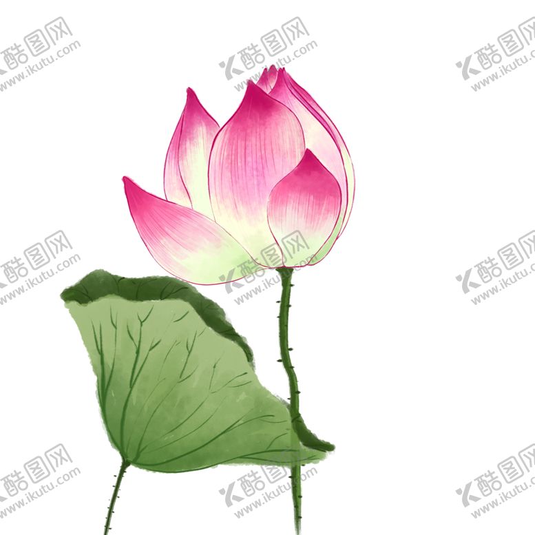 编号：28599903312337502874【酷图网】源文件下载-荷花元素