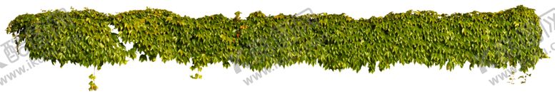编号：14913902232059513320【酷图网】源文件下载-小草地草坪植物