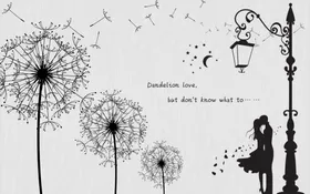 路灯爱情蒲公英