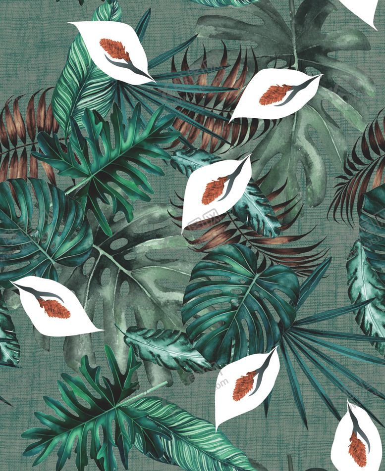 编号：70817209291659058379【酷图网】源文件下载-热带叶子花