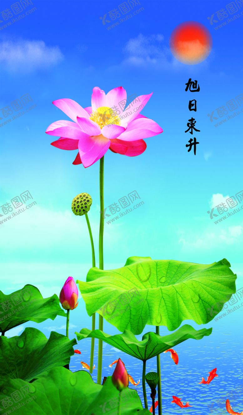 编号：53184710031948500791【酷图网】源文件下载-莲花池