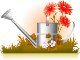 鲜花素材
