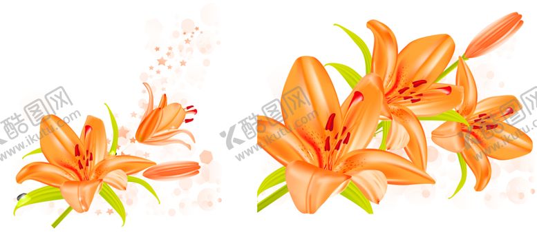 编号：96780110180946567620【酷图网】源文件下载-鲜花装饰