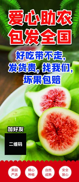 无花果展架