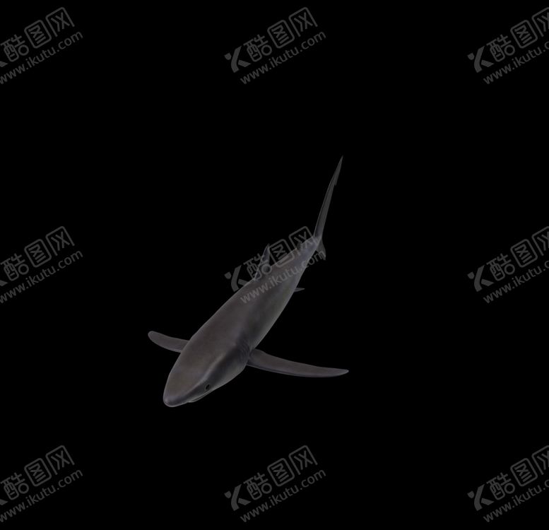 编号：73490707060212234557【酷图网】源文件下载-海洋生物