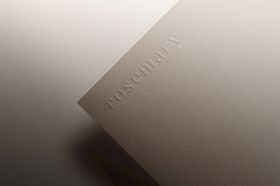 LOGO样机标志贴图贴图贴图