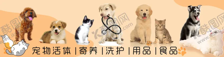 编号：97231510031317301560【酷图网】源文件下载-宠物海报 狗狗