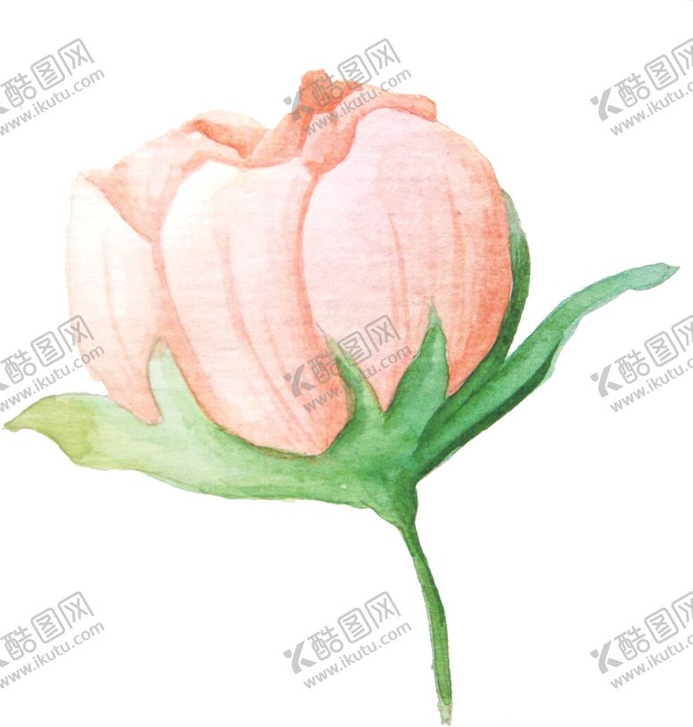 编号：14709006260308538943【酷图网】源文件下载-彩绘植物