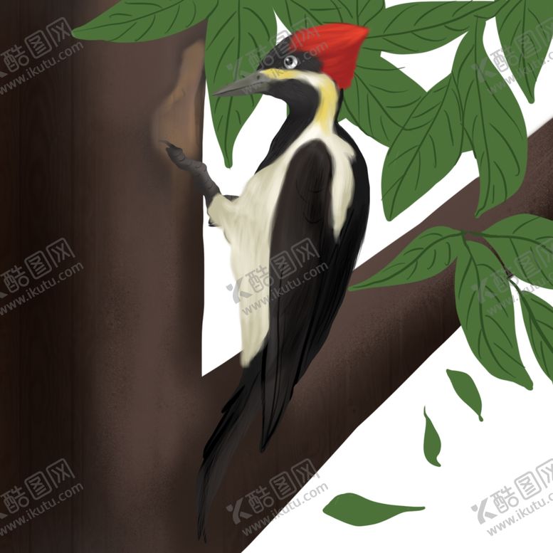 编号：43699106250001091542【酷图网】源文件下载-啄木鸟插画